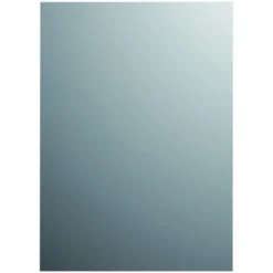 Plieger Spiegel Zilver 120x45 Cm