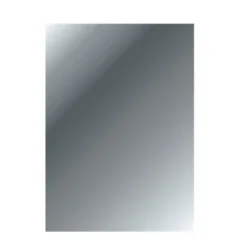 Haceka Spiegel Zilver Glas 4 Mm 55x70 Cm