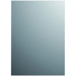 Plieger Basic Spiegel Zilver 60X45 Cm