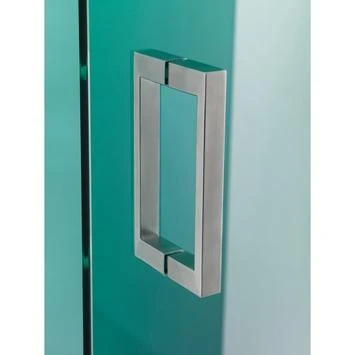 Sealskin Pendeldeur voor Nis I AM 80x200 cm RVS Sealskin Pendeldeur Voor Nis I AM 80x200 Cm RVS -Badkamerwinkel Voor Thuis 123 3265