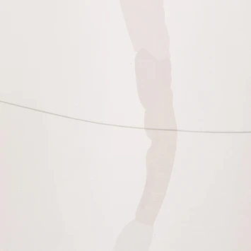 Sealskin douchegordijn earth 180x200cm d.roze/wht Sealskin Douchegordijn Earth 180x200cm D.roze/wht -Badkamerwinkel Voor Thuis 123 4644