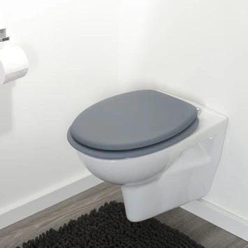 Tiger WC bril Reno Grijs Tiger WC Bril Reno Grijs -Badkamerwinkel Voor Thuis 123 4972