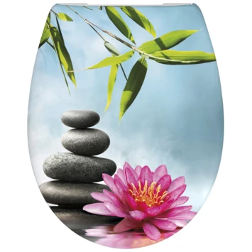 Cedo Wellness wc bril softclose duroplast Cedo Wellness Wc Bril Softclose Duroplast -Badkamerwinkel Voor Thuis 123 6102