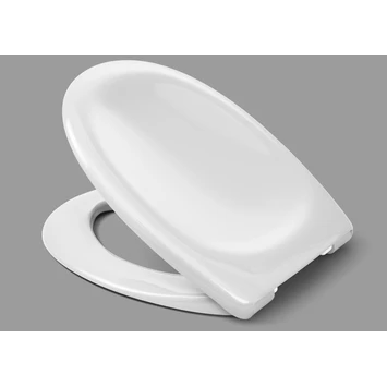 Cedo Palm Beach wc bril wit softclose duroplast Cedo Palm Beach Wc Bril Wit Softclose Duroplast -Badkamerwinkel Voor Thuis 123 6180