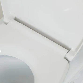 Tiger WC bril Amadora Wit Kunststof met Softclose Tiger WC Bril Amadora Wit Kunststof Met Softclose -Badkamerwinkel Voor Thuis 123 6290