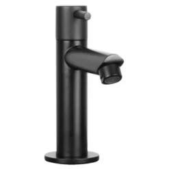 Differnz Fonteinkraan Recht Mat Zwart 3 Differnz Fonteinkraan Recht Mat Zwart -Badkamerwinkel Voor Thuis 123 7530