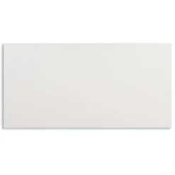 Wandtegel Mat Wit 25X50CM 1,63M²