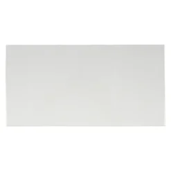 Wandtegel Glans Wit 20x40 Cm 0,96m²